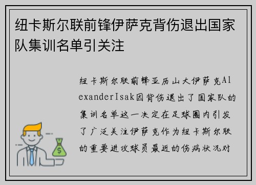 纽卡斯尔联前锋伊萨克背伤退出国家队集训名单引关注